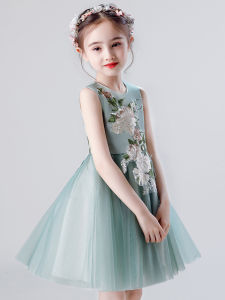 Girl Dress Princess Dress Childrens Day Performance Dress Piano Performance Dress Host Stage Evening Dress