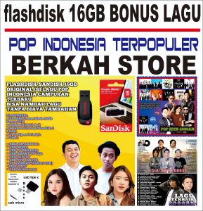 COD Flashdisk 128Gb isi Lagu indonesia Tahun 2000an Bonus otg