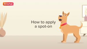 ฺBeaphar FIPROTEC Small Dog ยาหยดกำจัดเห็บหมัด สุนัขพันธุ์เล็ก