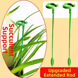 Stable Plant Stand Rod for Flowers and Succulents