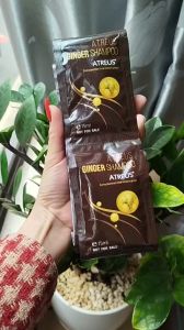 dây 10 gói dầu gội gừng giảm ngứa đầu ATREUS Ginger Shampoo Thái Lan 15ml