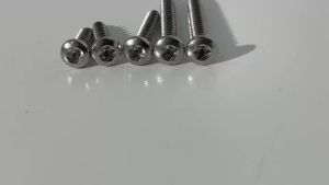 M4 Small 304 stainless steel Cross Phillips Pan Round Head Self tapping Screw for Metal Wood Sheet Repair Screws Hardware