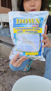 Down ดาวน์ หัวเชื้อจุลินทรีย์เข้มข้น ลด PH ลดสีน้ำ ควบคุมสาหร่าย บริษัทบิลกอนุมนุมหาวินิอพิจัย สำหรับบ่อกู้ บ่อปลา