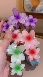 Dopamine Gradient Egg Flower Acrylic Shark Claws for Women Sweet Sea Conch Shark Clips Shell Hair Clip for Beach Vacation