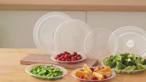 (10Pcs) 8/9" Inch PP Plate /Disposable Clear Plastic Plate /Pinggan Plastik Pakai Buang /Party Supplies