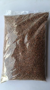 Hạt giống rau mầm củ cải trắng gói 1 kg