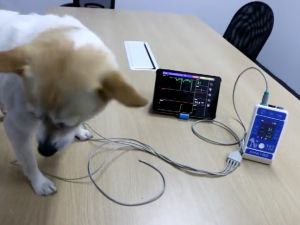 img สัตวแพทย์จอบลูทูธแบบพกพา NIBPวัดความดันโลหิต ECG SPO2 Temp Pluse Probe แขนหมุนเวียนจอภาพคลินิกโรงพยาบาลสัตว์เลี้ยง