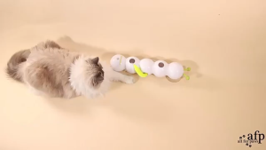AP AIMAYAPET Intelligent Interactive Cat Stick Cat Toys Automatic Replaceable Tail Mainan Kucing Bergerak 猫玩具