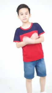 Forest Kids Boys Short Sleeve Color Block Soft Knit Top | Baju Budak Lelaki - FK20225