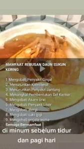 500 GRAM BUBUK DAUN SUKUN / 250 GRAM TERUNG DAUN SUKUN KERING ALAMI