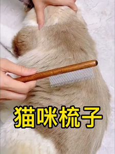 Wooden Pet Hair Brush For Dog Hair Brush Cat Flea Comb With Fine Stainless Steel Teeth for Kitten