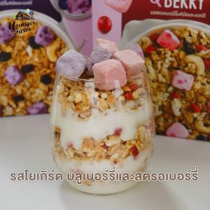 กราโนล่า Granola ยังเกอร์ ฟาร์ม Younger Farm รวมรสผลไม้ 2 รสชาติ สูตรน้ำตาลน้อย แคลต่ำ Vegan อาหารเช้าสุดคลีน