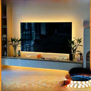 Self-Adhesive LED Atmosphere Light Strip Battery Powered Super Bright Indoor TV Wall Decorative Lighting Strip USB Interface