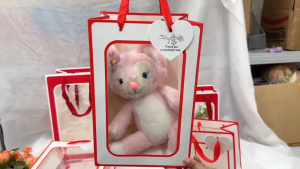 ZOEY(ขายส่ง) ถุงกระดาษ หน้าใส้ป้ายห้อย ถุงหูหิ้ว ใส่อของขวัญ ใส่ตุ๊กตา ใส่ดอกไม้ ของชำร่วย ของขวัญวันเกิด