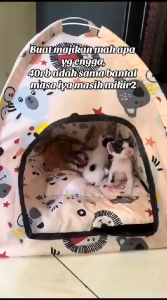tenda kandang kucing peliharaan lucu tempat tidur hewan