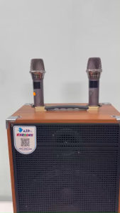 Loa kéo Bluetooth chính hãng AZPROAZ-8-A Bass 20 thùng gỗ cao cấp