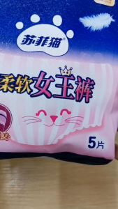 L&XL 2pcs/5pcs Women Menstrual pants diaper adult Pants Comfort Leakproof Disposable Hygiene Pantie