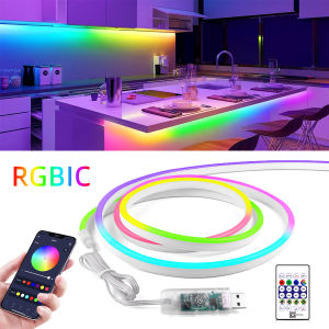 1-5M DreamColor RGBIC LED Neon Rope Light Bluetooth Novelty USB 5V WS2812 Waterproof Tape Fairy Lamp for Game Room Ambinet Decor