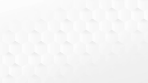 keywords: คีมย้ำหางปลา, IWISS IWS-10N, หางปลา 0.5-10mm2