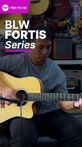 BLW FORTIS SERIES Dreadnaught Size Spruce Top Mahogany Sapele Side & Back Acoustic Guitar