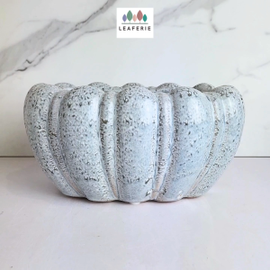 The Leaferie Bria long shallow ceramic pot flowerpot flower plant pots planter planters
