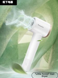 Panasonic | Silent Ion Rapid Dry Hair Dryer