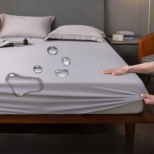 Class a Waterproof Bed Canopy Single Piece Ice Silk Cooling Mat Dream Bedding Mattress Protector Dustproof Bed Sheet Cover