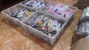 ( isi 50 pcs ) Souvenir SISIR SALON kemas ALAS Kartu Ucapan Suvenir Murah Makassar Mamuju Kendari