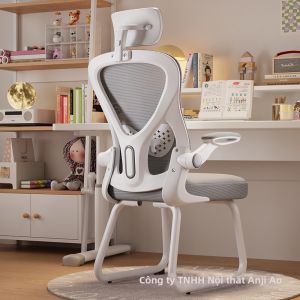 MOLORE | Ghế Văn Phòng Ergonomic Hỗ Trợ Đốt Sống Cho Ngồi Lâu