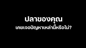 Active Plus วิตามินรวมเข้มข้นชนิดน้ำ