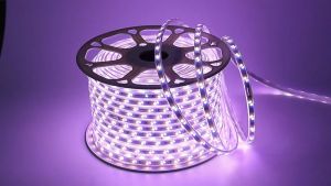 RGB Color LED strip Light Remote Dimming Ceiling Cob Lights 10-30M 220V EU Plug Covelight Indoor Outdoor Waterproof