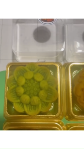 [Hỏa Tốc HCM] Set Bánh Trung Thu Mini 75g Mẫu Sang Trọng NƯỚNG MÀU rau củ tự nhiên sấy lạnh ít ngọt