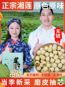 Core Removed Peeled Sulphur Free Large Lotus Seeds 500g
