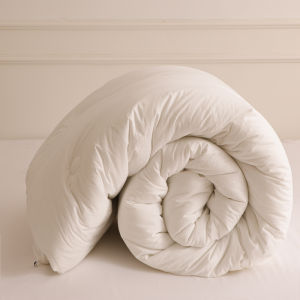 Double Spring & Fall Quilt Inner All Year Round Neutral Summer Air Conditioning Comforter Summer Quilt Student Single Quilt Winter Quilt Thickened
