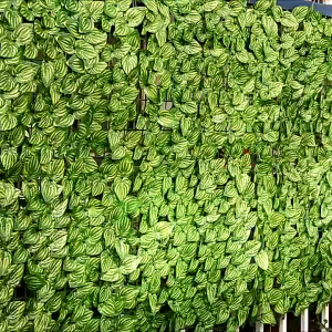 Artificial Grass Wall Panels with Green Leaf Hedge Decor 50×300cm - Eco-Friendly Privacy Fencing for Balcony Garden - Vine and Watermelon Styles