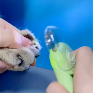 AP AIMAYAPET 3 in1 Cat Nail Clipper Dog Nail Cutter with LED Light/Grinder Pemotong Kuku Kucing Pet Grooming Tool