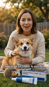 Compound Ketoconazole Ointment 15g for Dogs & Cats | Antifungal Antimicrobial Veterinary Use