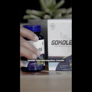 Gokoles Obat Kolesterol | Obat Asam Urat | Obat Kebas SUDAH BPOM MUI