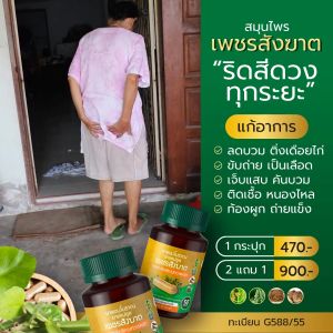 SN9 เพชรสังฆาต ริดสีดวง ติ่งโผล่ เจ็บ ขับถ่ายคล่อง สมุนไพรริดสีดวง แคปซูลเพชรสังฆาต แก้ริดสีดวง ริดสีดวงทวาร ริดสีดํา ทวาร - Lazada