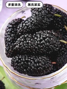 Authentic Xinjiang Special Black  Dried Fruits Soak in Water for Tea Instant Snacks Genuine  for Health