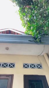 Palu Emas & Palu Silver: Alat Tukang Ringan & Praktis