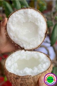 Dừa Sáp Thượng Hạng Loại 1 - Size Lớn (Trái 1.1Kg-1.2Kg)