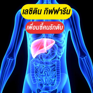 Lecitihin Giffarine 60 Caps - กิฟฟารีน เลซิติน 60 เม็ด ผสมแครโรทีนอย์ และวิตมินอี