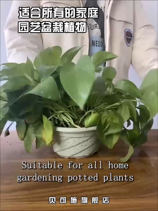 (BUY 2 TAKE 1)350g Rooting Powder for Plants Super Growth Fertilizer