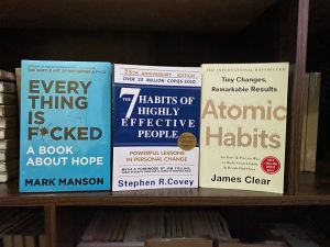 Trio Bundle Atomic Habits + The 7 Habits of Highly Effective People + Everything Is Fvcked