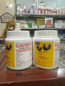 Clostop sp gà chọi - ngừa phân sống viêm ruột tạo lông nhung ruột ổn định pH đường ruột gà nhanh lớn