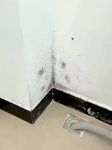 Mold is gone Mold removal spray 500ml Say goodbye to moldy walls and furniture Mold remover cleaner Room wood wall floor wallpaper mold remover Anti-mold rate 99% disinfect mold