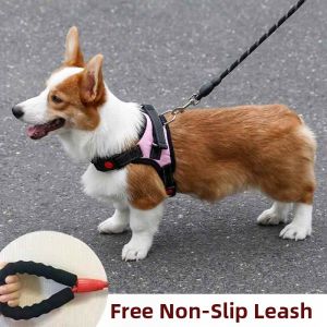 Jiaxun | Vest Style Dog Harness for Small Medium Large Dogs