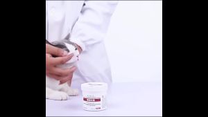 [dogs/cats] kojima tear stain wipe dogs/cats 120sheet