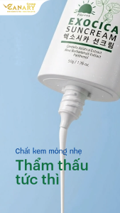Kem chống nắng rau má Exocica SPF50+ PA++++ | Thích hợp mọi loại da | 100ml